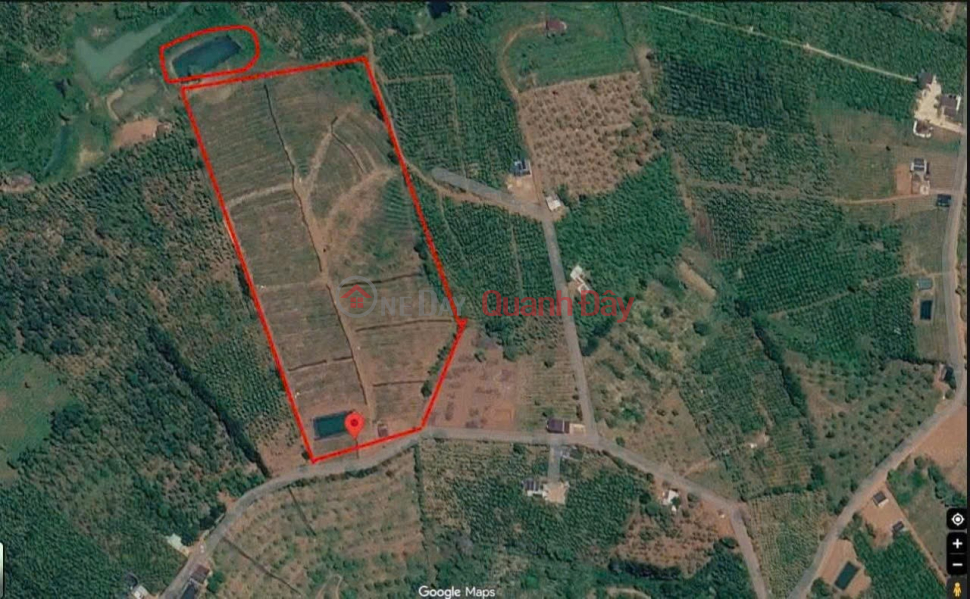 Property Search Vietnam | OneDay | Nhà ở Niêm yết bán, ĐẤT ĐẸP – GIÁ TỐT – CẦN BÁN 3HA ĐẤT TẠI Nghĩa Tín, Phường Bắc Gia Nghĩa, Tỉnh Lâm Đồng.