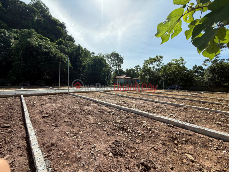 Property Search Vietnam | OneDay | Nhà ở | Niêm yết bán, BÁN LÔ ĐẤT LẠC THỦY HÒA BÌNH 480TR THỔ CƯ 083.2865.116