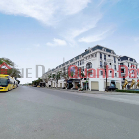 Shophouse in Vietnamese Overseas Village - 113m², 4 floors - facing Khuc Thua Du street _0