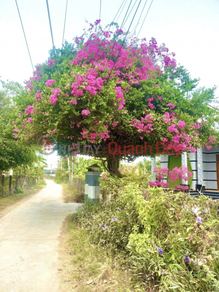 Please Select Residential, Sales Listings, đ 500 Million