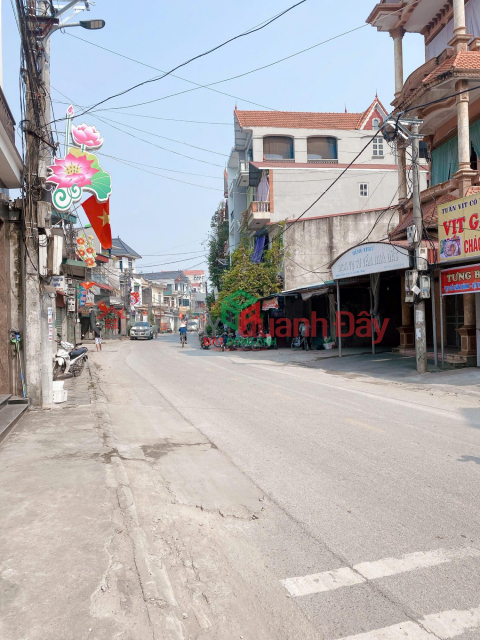 Selling 75m² on the main axis of Luc Canh Xuan, near Vinhomes Co Loa Project _0