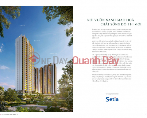 Bạn đang trả 6 triệu/tháng tiền thuê? Sẽ thế nào nếu bạn dùng số tiền đó để trả góp nhà? _0