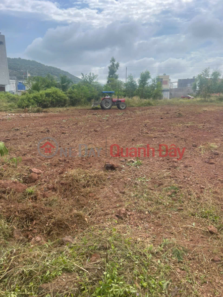 Property Search Vietnam | OneDay | Residential, Sales Listings OWNER SELLING a PLOT OF LAND WITH 2 FRONTAGES IN AN NGÃI COMMUNE, LONG ĐIỀN DISTRICT, BÀ RịA VÑÁN VÑÁN.