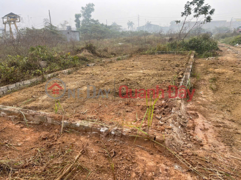 CẦN TIỀN, GIÁ NÀO CŨNG BÁN - Bán 70,9m đất dịch vụ Tiên Phương - Quy hoặch ra mặt đường 6 _0