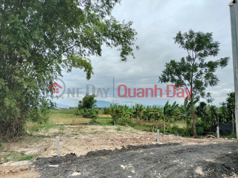 ĐẤT ĐẸP KIỆT LƯU QUANG VŨ – NGŨ HÀNH SƠN - 101,3m² - CHỈ 2,15 TỶ _0