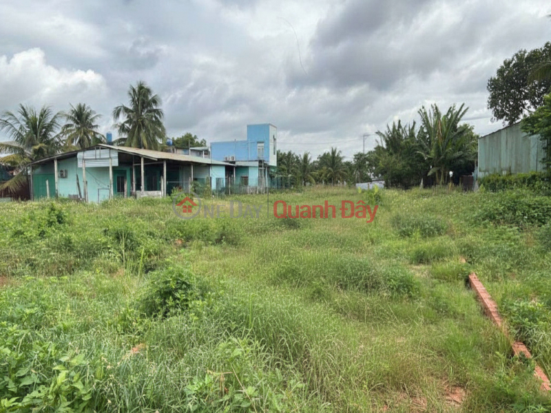 Property Search Vietnam | OneDay | Residential | Sales Listings Land expanding behind SHR HXH 754m2 - Bui Cong Trung Hoc Mon S