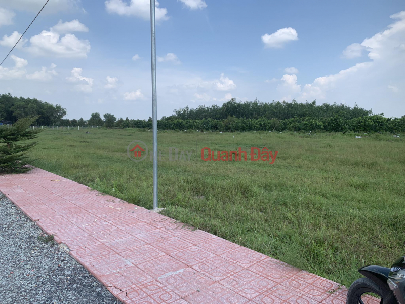 Extremely rare: Super Beautiful Land Roc B, Thanh Duc, Go Dau, Tay Ninh Price Only 900 million Dear Brothers and Sisters Investment, Vietnam, Sales, đ 900 Million