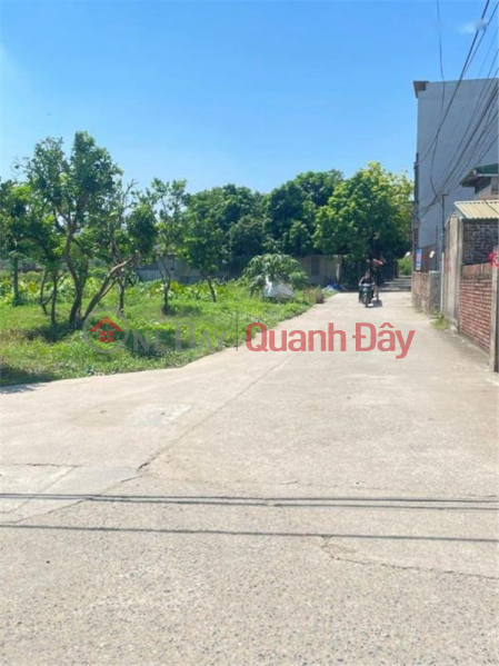 Property Search Vietnam | OneDay | Nhà ở Niêm yết bán Đất Bắc Hồng, Đông Anh góp phần xây dựng giấc mơ nhà đẹp giá chỉ ~1 tỉ