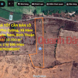PRIME LAND FOR SALE AT A GOOD PRICE in Phu Cuong Hamlet, Ham Kiem Commune, Ham Thuan Nam District, Binh Thuan Province _0