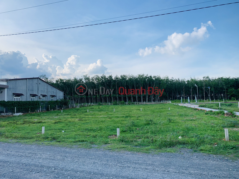 Property Search Vietnam | OneDay | Residential Sales Listings | Extremely HOT : Ground Ground Roc B, Thanh Duc Go Dau