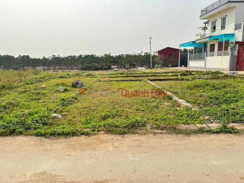 Bán đất tổ 10, Quang Minh, Mê Linh. Gần trường CD Y Dược Tuệ tĩnh và KCN, Việt Nam, Bán, đ 2,7 tỷ