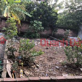 The owner needs to quickly sell a 41m2 plot of land in Phuong Nghia village, Phung Chau Chuong My, Hanoi. Area 41.2 m2, radius several _0