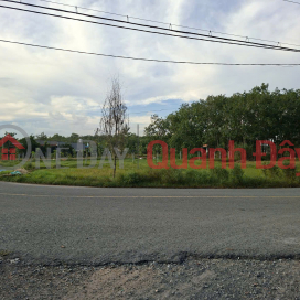 Urgently need to transfer a beautiful plot of land in the truck alley on Phu Thuan Street, Phu My Hung Commune, Cu Chi District, Ho Chi Minh City. _0