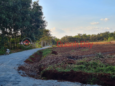 Long Binh agricultural investment land,1000m2, pink book available _0