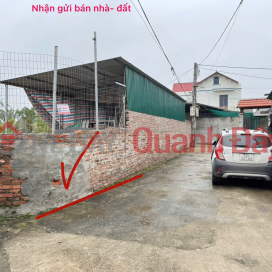 Residential land for sale in Coc Thuong village, Hoang Dieu commune, Chuong My, Hanoi - beautiful location, reasonable price _0