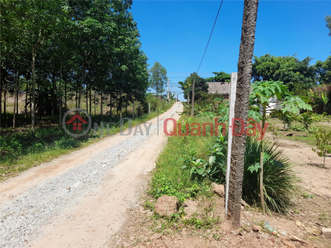 Land for sale with 2 street fronts at Vinh Hoa 70, Phu Giao, Binh Duong _0