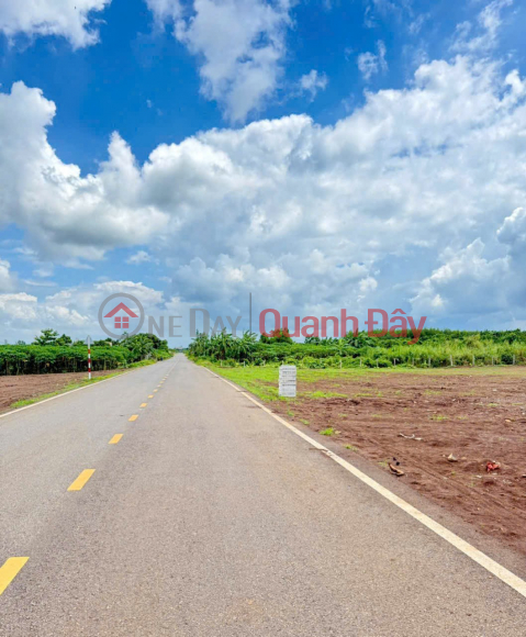 VỊ TRÍ ĐẸP - GIÁ TỐT - Bán Đất Tại Quảng Thành, Châu Đức, Bà Rịa- Vũng Tàu _0
