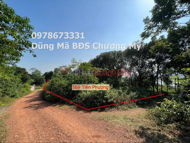 PRICE ONLY 6TY950 TO OWN A LOT OF RESORT LAND FOR A PAIR OF TIEN PHUONG-CHONG MY ARTISTS Sales Listings