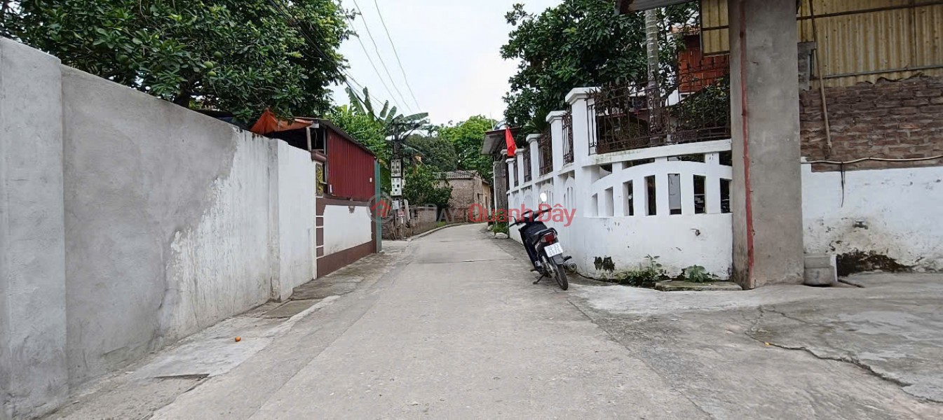 Bán đất Tráng Việt, Mê Linh, HN. Đường rộng, oto ra vào đất. Gần dự án cầu Thượng Cát, Việt Nam, Bán | đ 2,4 tỷ