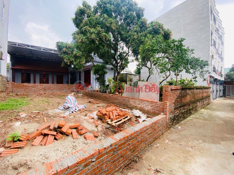 Property Search Vietnam | OneDay | Nhà ở Niêm yết bán CHÍNH CHỦ CẦN BÁN LÔ ĐẤT ĐẸP TRỤC KINH DOANH 71,8M TẠI PHỤNG CHÂU-CHƯƠNG MỸ-HÀ NỘI