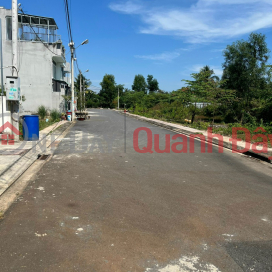 Selling (Land on branch road) Long Phuoc Street, Long Phuoc Ward, District 9 _0