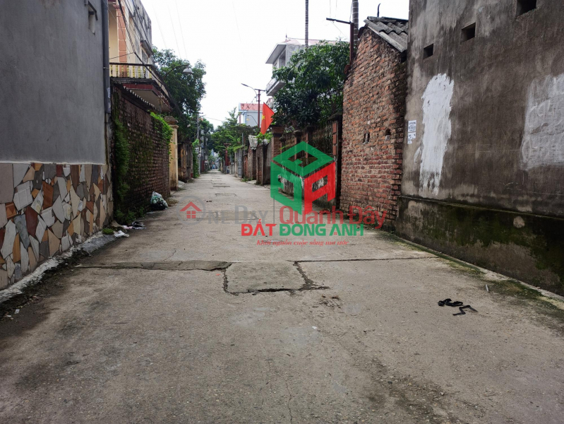 Land for sale in Thuy Ha Bac Hong - 50m - Corner lot - Clear road - Car Sales Listings