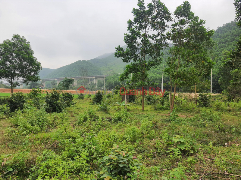 The owner sells garden land in front of asphalt road DT 601, Hoa Vang District, Da Nang City Sales Listings