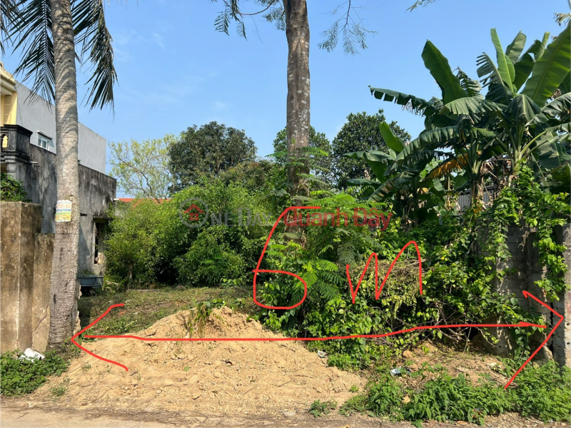 OWNER FOR URGENT SALE OF 6m FRONT OF LAND LOT NEAR THE COASTAL BELT IN Sam Son City, Thanh Hoa Sales Listings