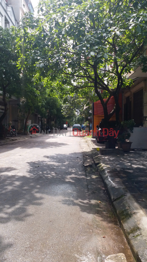 Land for sale in Cau Dien, Tu Liem, 50m2, car access, sidewalk, comfortable living _0