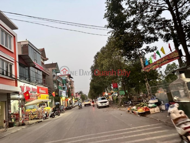 Property Search Vietnam | OneDay | Residential | Sales Listings CORNER LOT, OTO AVOID PARKING DAY AND NIGHT, IN NAM HONG DONG ANH. Area 47M, POTENTIAL AREA, INVESTMENT PRICE.