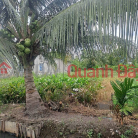 Square Land SHR HXH 201m2 – Thanh Xuan 33 District 12 SS _0
