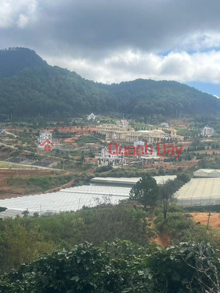 BEAUTIFUL LAND - GOOD PRICE - QUICK SALE OF LAND IN Lake Area No. 7, Lang Biang Ward - Da Lat - LAM DONG Sales Listings
