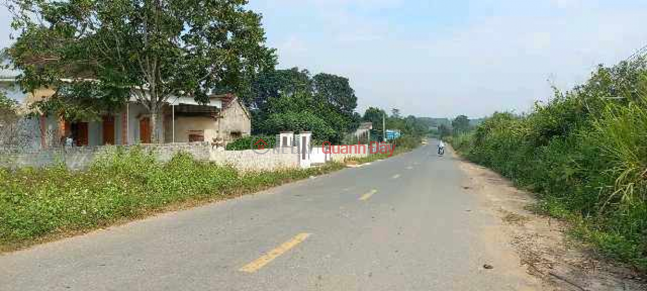 Land for sale in Xom Hong, Phuc Nghia, Hong Nghia Dan, Nghe An Sales Listings