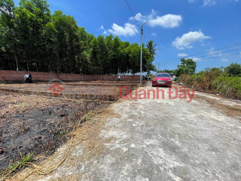 Selling a plot of land near Tuy Loan Market and Thang Long street extending 241m2 for investment price _0