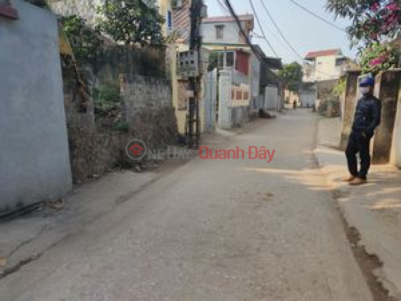 LAND FOR SALE ON GIAO TAT STREET – KIM SON – GIA LAM – GOOD BUSINESS LOCATION Vietnam, Sales, đ 3.95 Billion