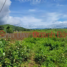BÁN LÔ ĐẤT ĐẸP – VỊ TRÍ TRUNG TÂM ĐỨC TRỌNG – GIÁ ĐẦU TƯ _0