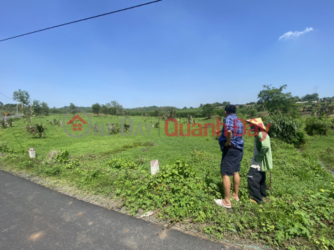 Owner sells plastic frontage land in Binh Trung Chau Duc for 700 million\/1000m2 _0