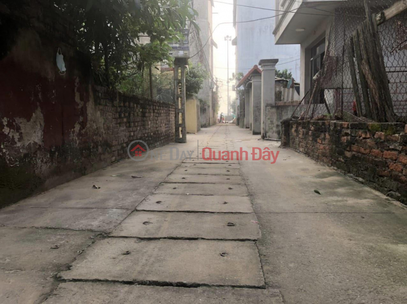 Property Search Vietnam | OneDay | Nhà ở, Niêm yết bán | Chính chủ gửi bán 60m TIÊN DƯƠNG,ĐÔNG ANH lô góc vuông vắn đường thông ngõ hơn 3m LH 0376692001