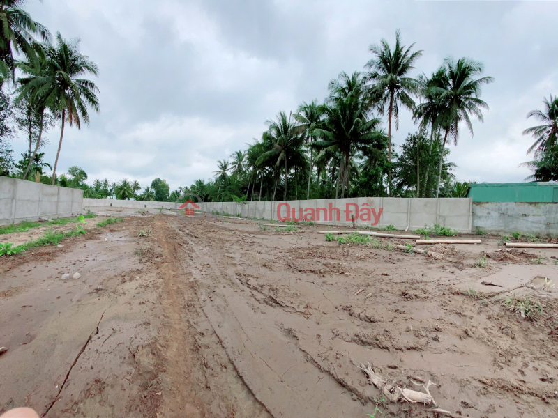 PRIME LAND – GREAT PRICE – OWNER NEEDS TO SELL URGENTLY Located in Thanh Tan Commune, Mo Cay Bac District (now Ben Tre Ward),Ben Tre City | Vietnam Sales, đ 15.5 Billion