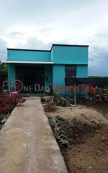 Property Search Vietnam | OneDay | | Niêm yết bán | Cần bán nhà cấp 4 cùng mảnh đất 1000m2 chính chủ có thương lượng