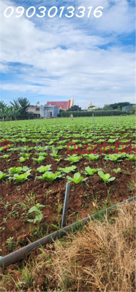  | Làm ơn chọn Nhà ở, Niêm yết bán, đ 820 triệu