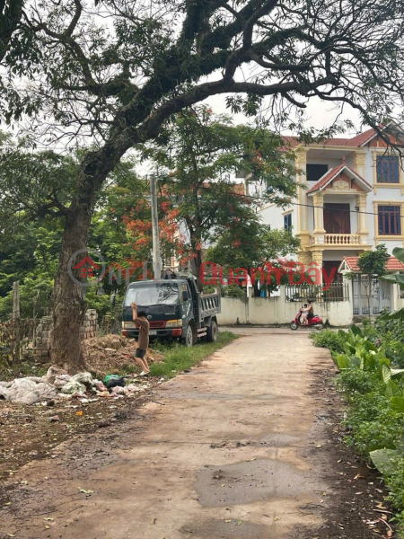 Property Search Vietnam | OneDay | Nhà ở Niêm yết bán, CHÍNH CHỦ CẦN BÁN LÔ ĐẤT SIÊU ĐẸP 69M TẠI THỤY HƯƠNG-PHƯỜNG CHƯƠNG MỸ-HÀ NỘI