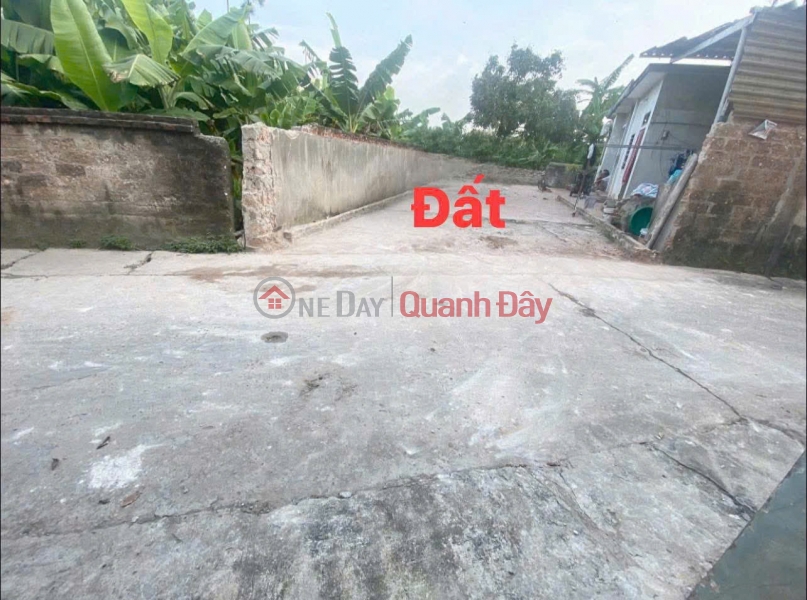 Property Search Vietnam | OneDay | Residential Sales Listings, Beautiful land lot for sale 80m2 in Nam Vong Ngoai village, Vong Xuyen commune, Phuc Tho