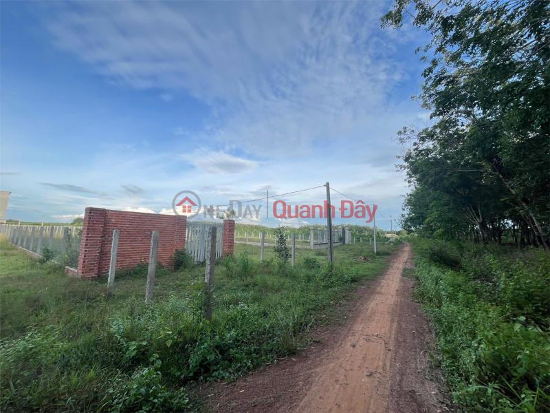 đ 405 Million | THANH PHU LAND - THANH BINH - TAY NINH - Land by Owner, Good Price, 1008m2, Only 405 Million