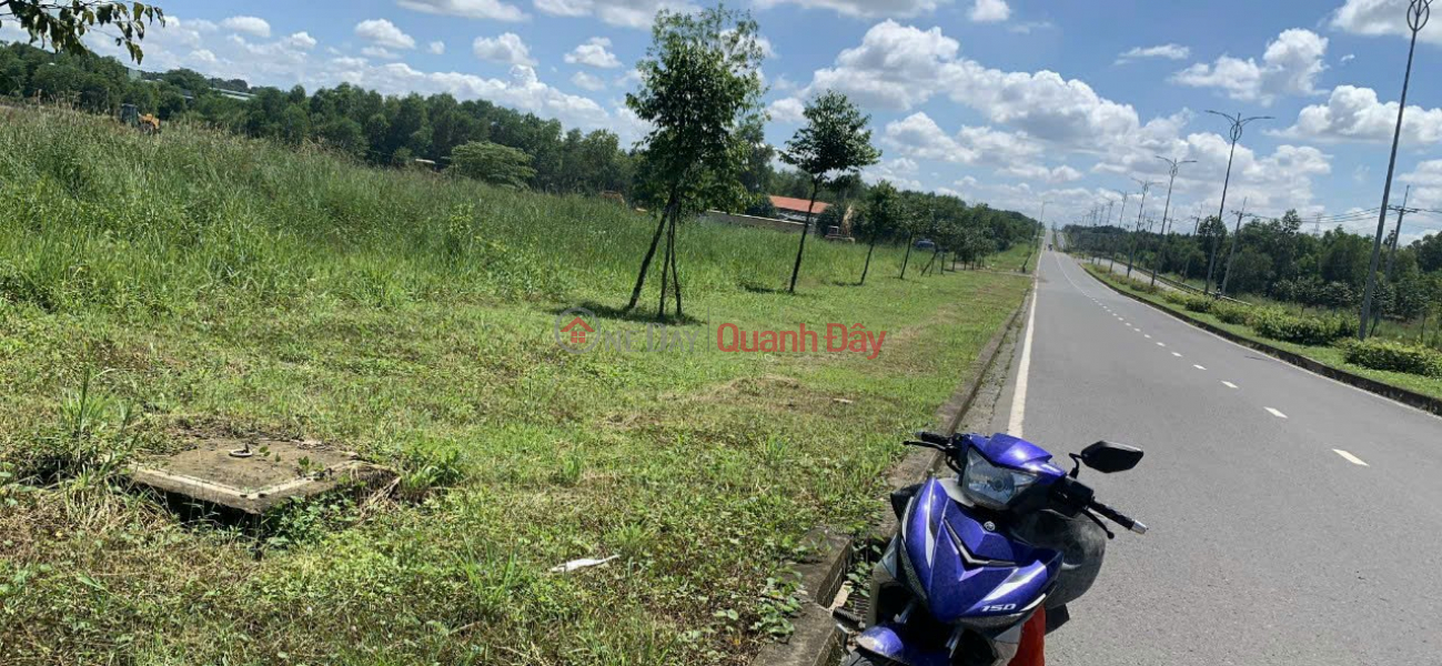 LAND FOR SALE ON BEAUTIFUL VO CHI CONG STREET OF 1 0 2 IN PHUOC TAN WARD, BIEN HOA CITY. DONG NAI 0938974428 Vietnam | Sales | đ 29.25 Billion