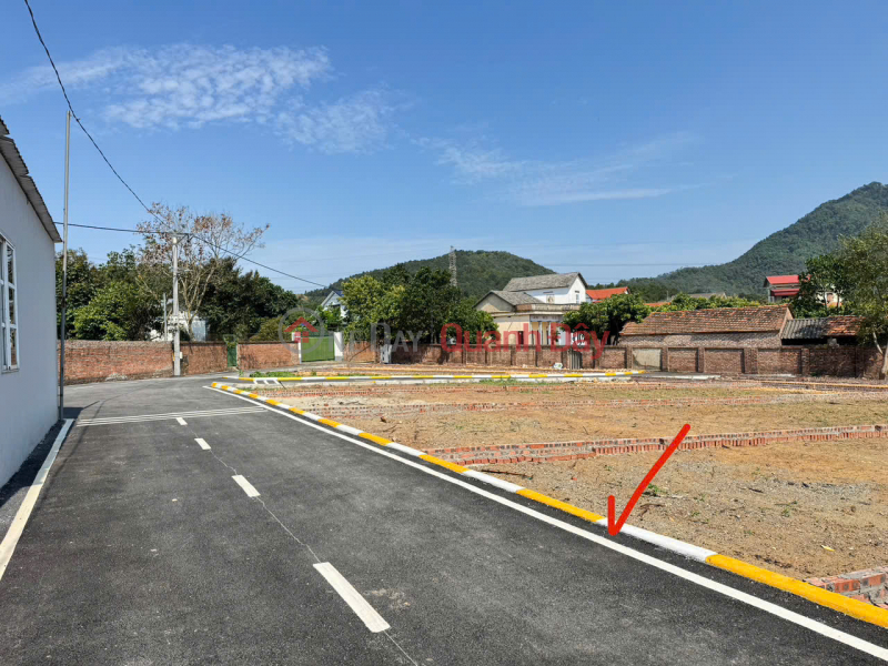 Property Search Vietnam | OneDay | Nhà ở, Niêm yết bán | Cơ hội sở hữu 100m đất Minh Phú, Sóc Sơn. Không gian làng quê yên tĩnh, lành mạnh