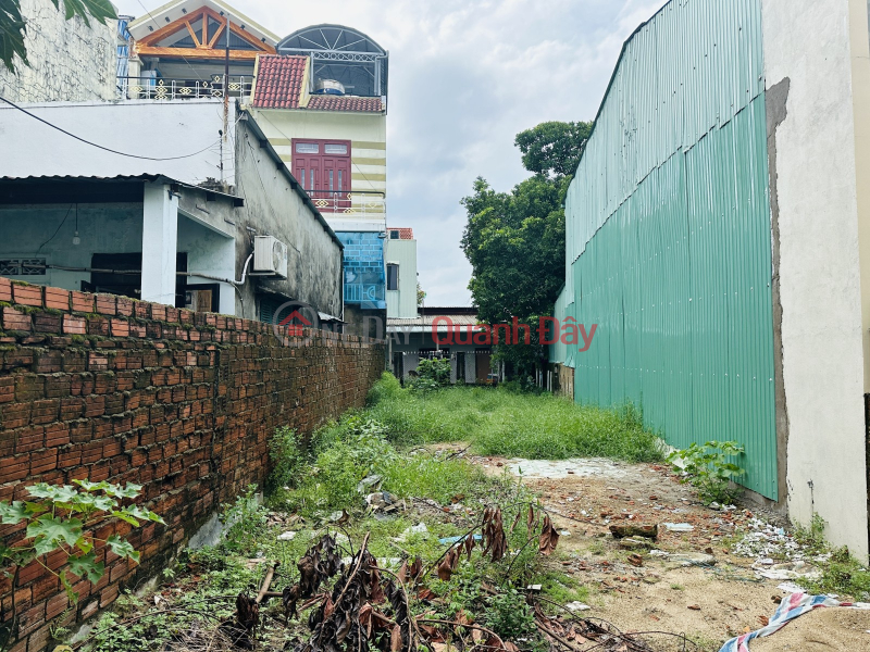 RARE LAND LOT IN HOA THO DONG - PROFITABLE INVESTMENT OPPORTUNITY NOW! Sales Listings