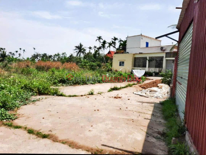 PRIME LAND - GREAT PRICE - Urgent Sale of a Plot of Land in a Strategic Location in Hoa Nghia, Duong Kinh, Hai Phong Sales Listings