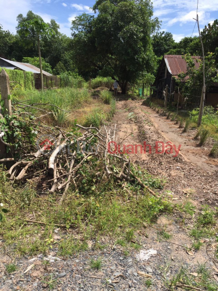 OWNER Needs to Sell Land Lot in Chanh Hamlet, Hiep Thanh Commune, Go Dau District, Tay Ninh Province., Vietnam, Sales, đ 900 Million