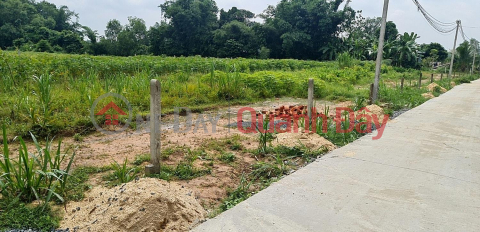 CHÍNH CHỦ BÁN GẤP TRONG THÁNG – ĐẤT FULL THỔ CƯ GẦN KCN HIỆP THẠNH 576HA _0